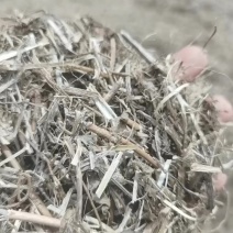 花生秧黄白带微黑。