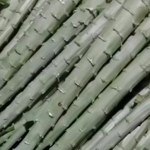 云南贡菜