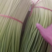 兴平白帽蒜苔