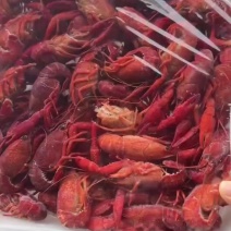 3--5钱小龙虾
