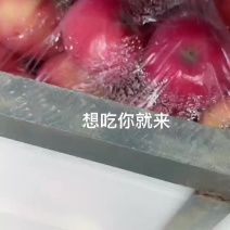 甘肃会宁红富士