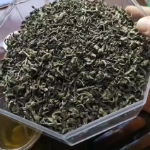 八乡头春金萱绿茶