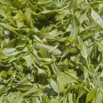 金牡丹红茶（高山的）