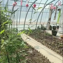 钢材各种规格，配件齐全