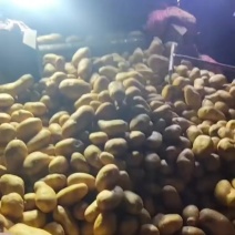 精品大量有货