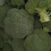 云南西兰花精品，好货，中上货，中货。