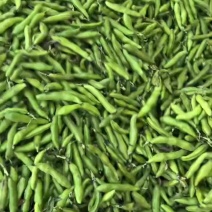 蚕豆，青皮