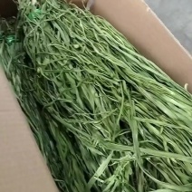 贡菜干；三级菜