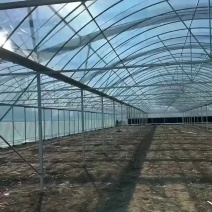 8430联动温室8430连栋温室玻璃温室一站式