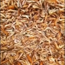 精品河