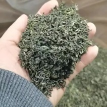 毛峰源头厂家货源保证