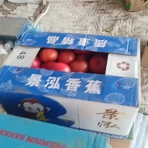 圆包菜
