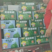 《畅销》夏邑西瓜甜王/美都麒麟/品种齐全对接商超团购电商