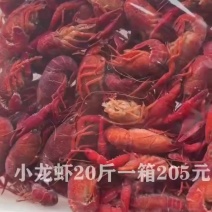小龙虾