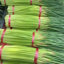 红帽蒜苔，新货上市