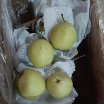 精品雪花梨