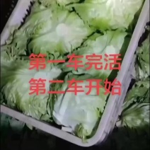 有需要的可以联系