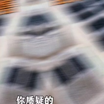 山东蓝莓，品质**