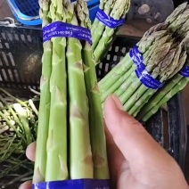 特大号的，看上来聊