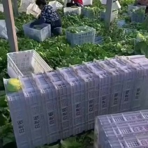 有需要的老板联系