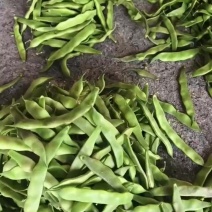 油豆上市，货源充足！