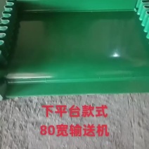 转绿色PVC挡板输送机传送带装车卸货神器！粮食颗粒袋