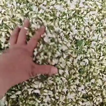 槐花