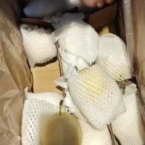 皇冠梨