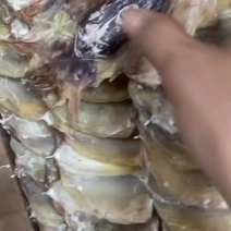 墨鱼干
