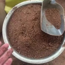 红枣粉糖份高育肥快喂牛羊喂鸡鸭鹅都可以的