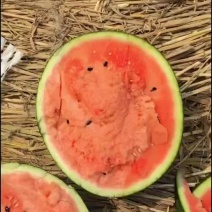 云南精品甜王西瓜