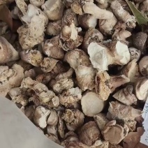 香菇脚