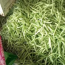 精品白豆角