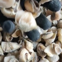 海螺肉