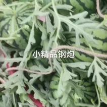 精品无籽嘉年华五号西瓜大量接单产地直发量大从优欢迎来电