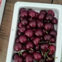樱桃