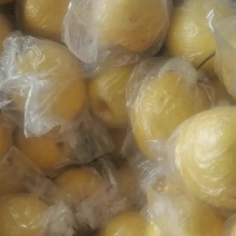 冷库备有大量蜜梨。质量好，不黑心表光亮，产地直销河北昌黎