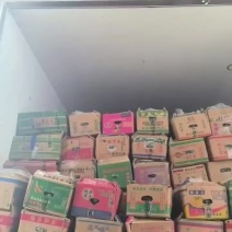 精品水果小黄瓜