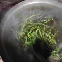 高山野生蕨菜，农家自制