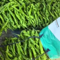 螺丝椒