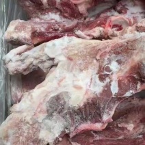 母猪带肉尾叉骨检疫合格齐全25年年底的货价格便宜