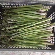 山东滕州芦笋