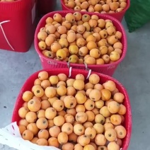 批把