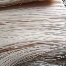红薯粉条