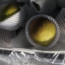 玉露香梨