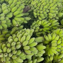 苹果蕉一件代发源头产地直发，欢迎电商，直播老板砸单