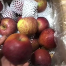 糖心苹果
