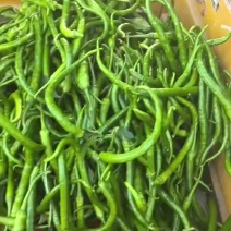 二青条