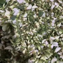 槐花