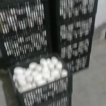 鹅蛋